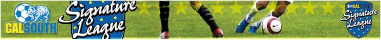 2009 Cal South Signature League banner